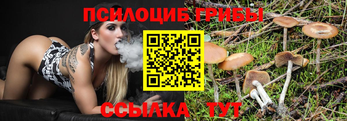 Артём  Псилоцибиновые грибы мицелий  купить наркотики сайты  Вход с VPN 